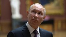 Vladimir Putin's critics keep falling from the sky (1)