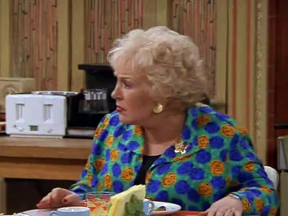 Alle lieben Raymond Staffel 3 Folge 8