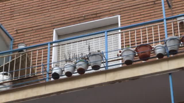 Diciembre negro: ocho mujeres asesinadas por violencia de género