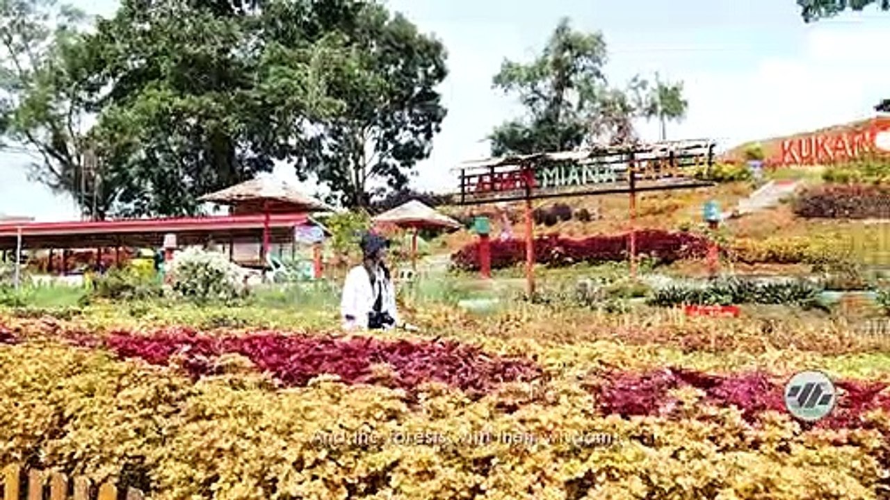 Wonderful Tenggarong _ 1Mnt. _