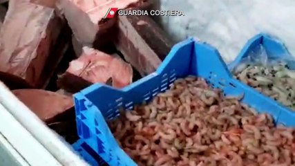 Pesce non tracciato