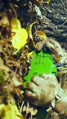 Sniper movie scene in 4k