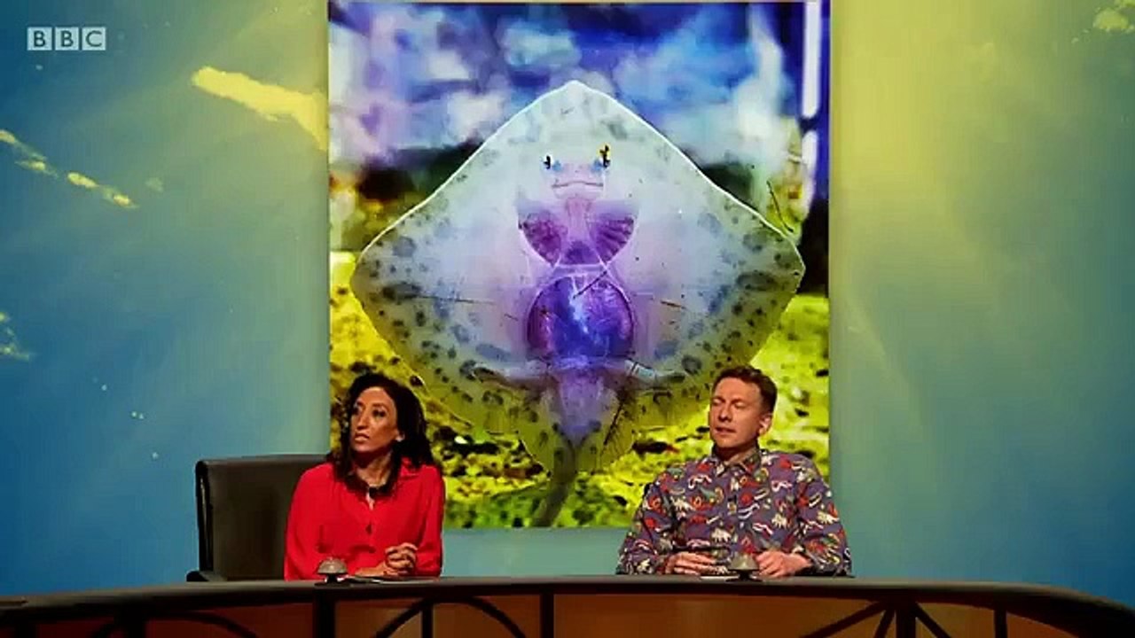 QI XL - Se19 - Ep09 HD Watch HD Deutsch