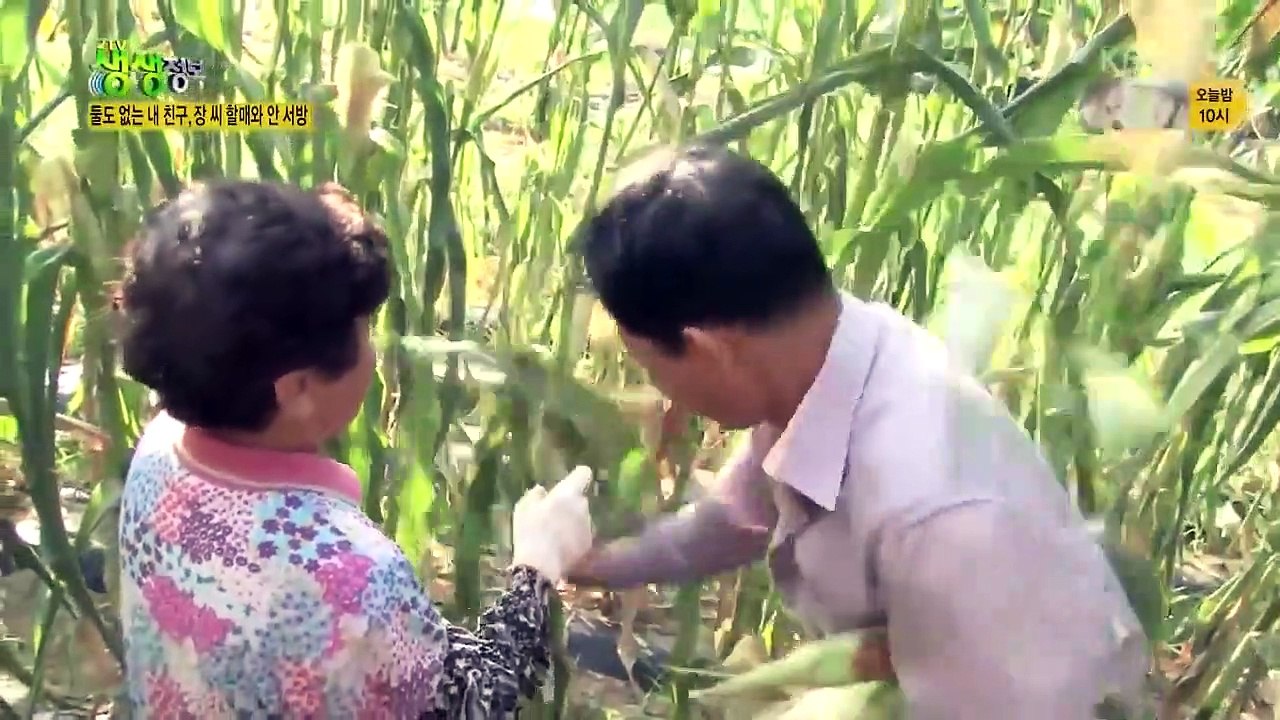 Live Info Show 2 - Ep350 HD Watch HD Deutsch