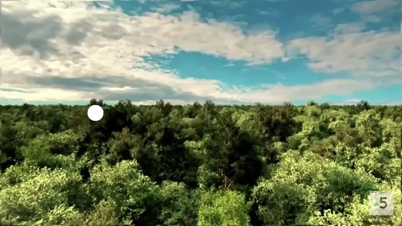 Tikal, la cité Maya disparue - Bande annonce