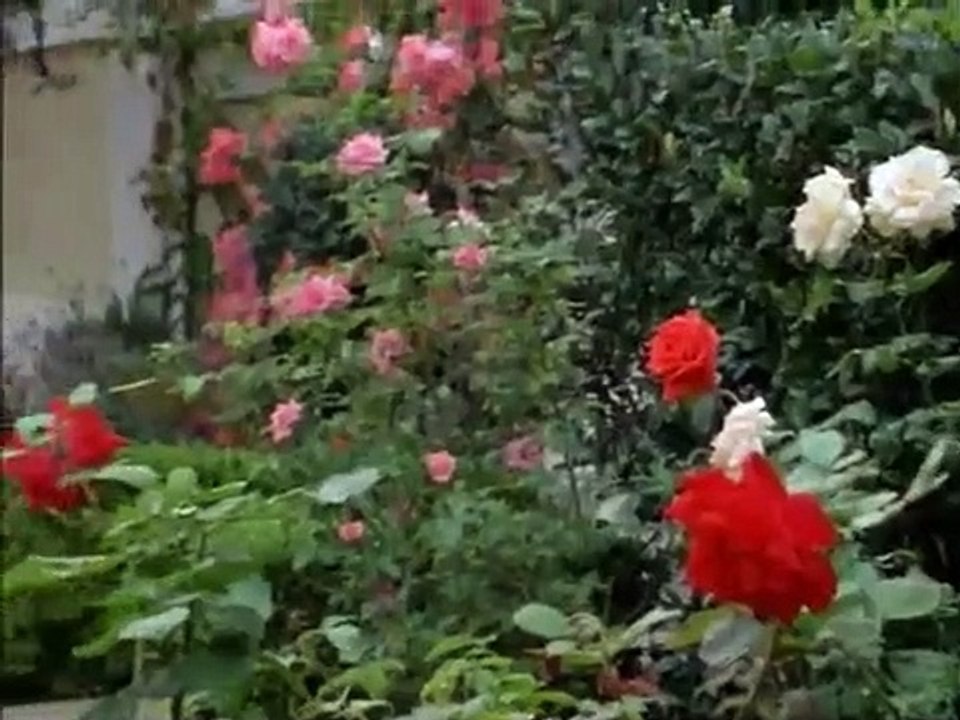 Pacific Blue - Se4 - Ep19 HD Watch HD Deutsch