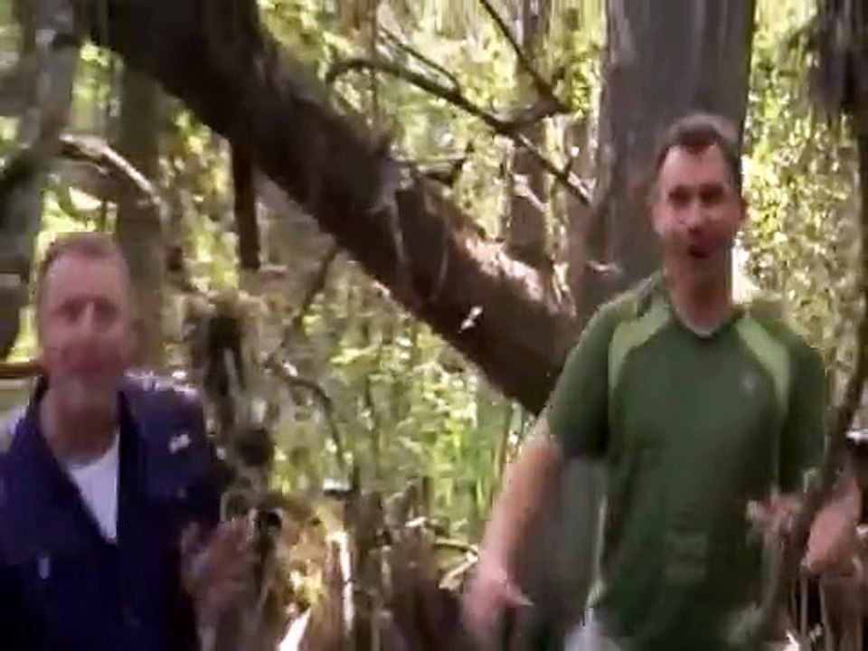 Wild Kratts - Se3 - Ep12 HD Watch HD Deutsch