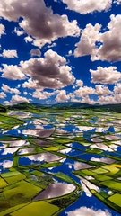 Pirinç tarlasıyla bulut kümelerinin harika buluşması