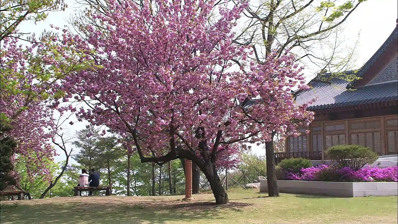 All About My Romance - Ep11 HD Watch HD Deutsch