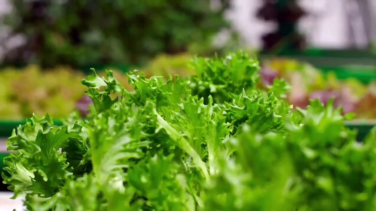 Underground Marvels - Se2 - Ep06 HD Watch HD Deutsch