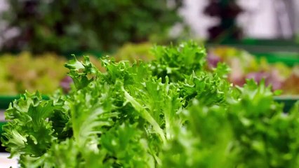 Underground Marvels - Se2 - Ep06 HD Watch HD Deutsch