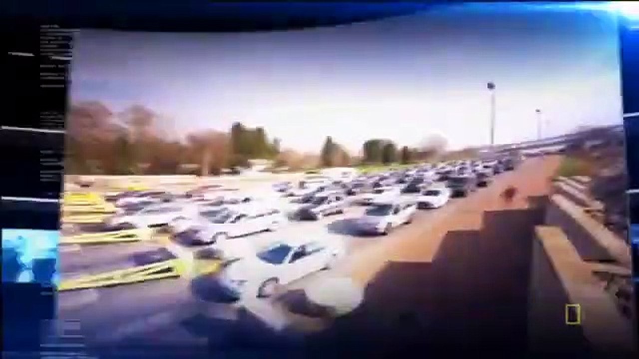 Border Security - Canada's Front Line - Se2 - Ep01 HD Watch HD Deutsch