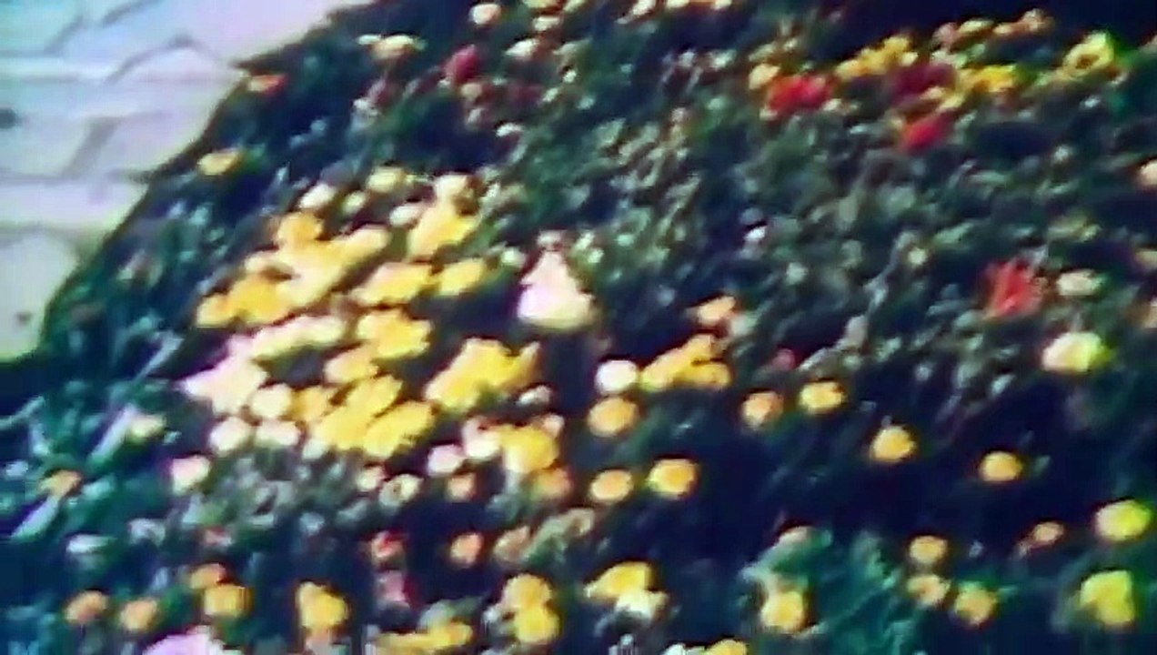 American Playboy - The Hugh Hefner Story - Se1 - Ep08 - Se-'x, Drugs and DEA Investigations HD Watch HD Deutsch