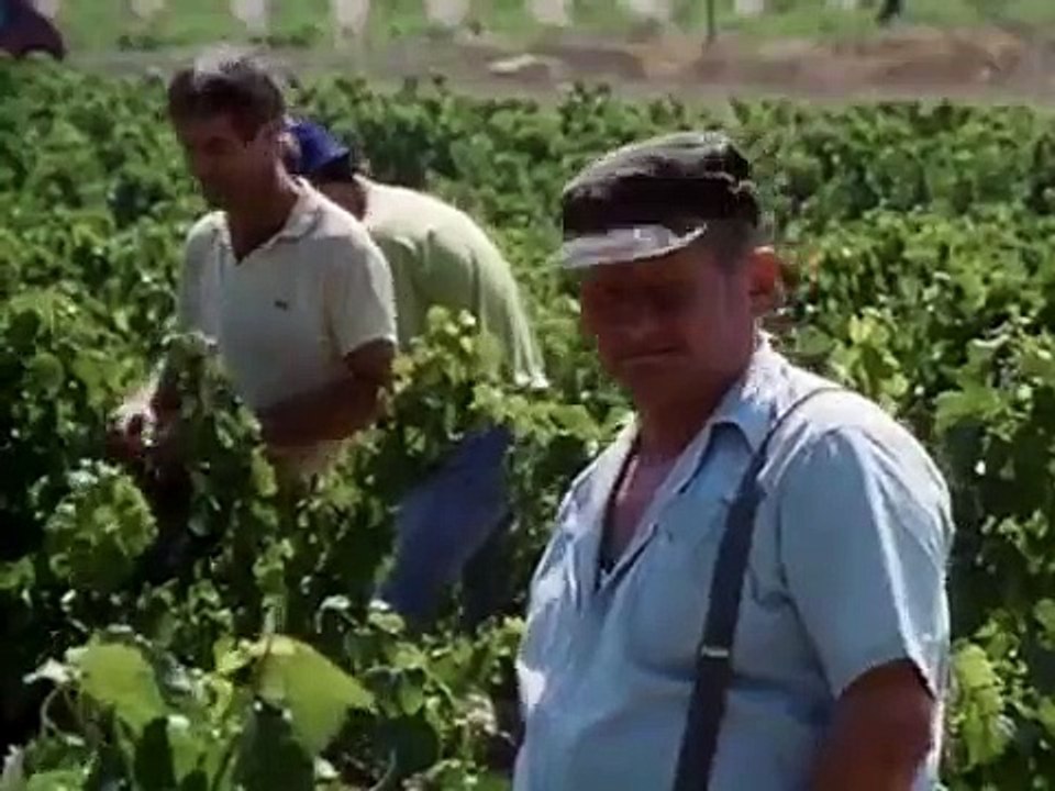 Bergerac - Se8 - Ep05 HD Watch HD Deutsch