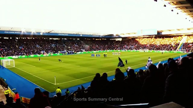 Leicester City vs Newcastle United 0-3 Highlights | Football highlights today | Sports World