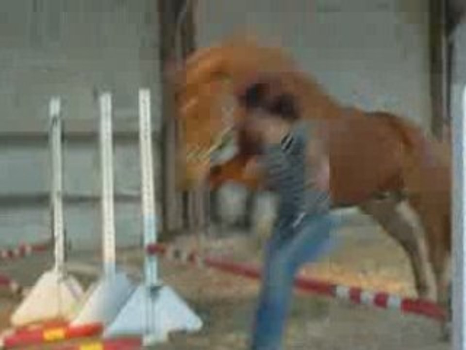 saut liberté