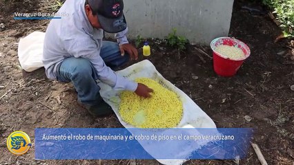 Aumentó el robo de maquinaria y el cobro de piso en el campo veracruzano, denuncia organización campesina