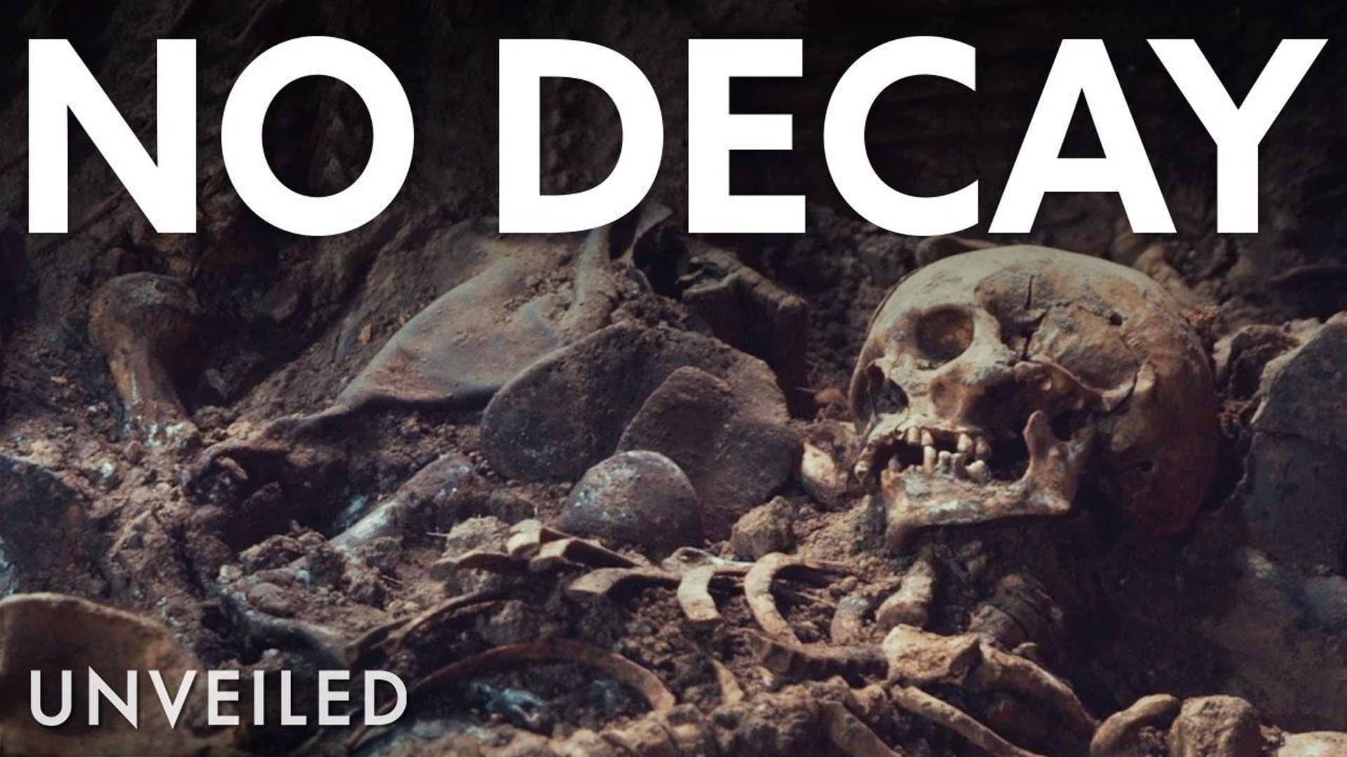 ⁣What If Nothing Decomposed? | Unveiled
