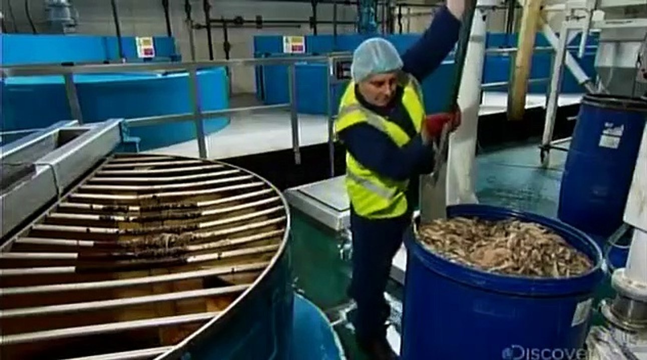 How It's Made - Se15 - Ep05 HD Watch HD Deutsch