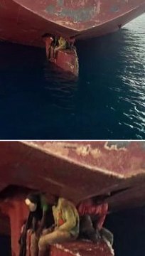 Приплыли 11 суток на руле #новости #юмор #интересное #смех #irl