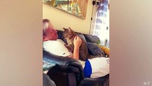 Cute Cat and Human Videos to Keep You Smiling! # 2