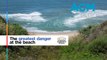 Rips: The greatest danger at the beach | Australian Academy of Science