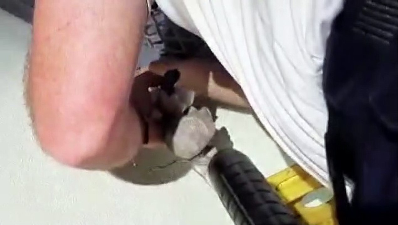DECOMISO EN TECHOS