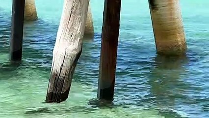 Beloved wooden jetties being closed over repair bills