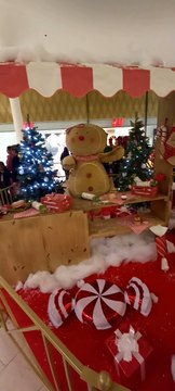 Christmas Decoration in Grenoble Noël en France #Noël #noel #christmas2022 #christmasdecor #decoration #christmas #france (11)