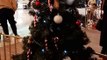 Christmas Decoration in Grenoble  Noël   en France #Noël #noel #christmas2022 #christmasdecor #decoration #christmas #france (15)