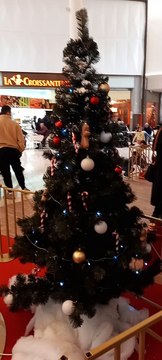 Christmas Decoration in Grenoble Noël en France #Noël #noel #christmas2022 #christmasdecor #decoration #christmas #france (15)