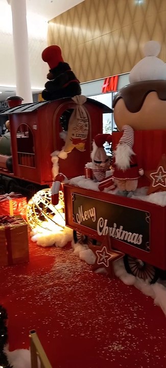 Christmas Decoration in Grenoble  Noël   en France #Noël #noel #christmas2022 #christmasdecor #decoration #christmas #france (16)