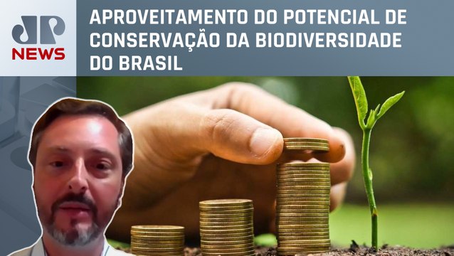 Medida provisória de Bolsonaro quer estimular mercado de créditos de carbono no Brasil