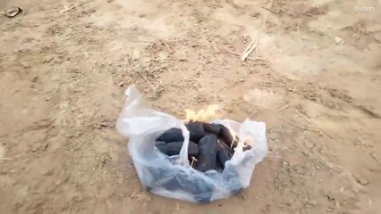 Playing Cricket With Friends