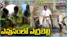Minister Errabelli Dayakar Rao Doing Farming Work _ V6 Teenmaar (1)