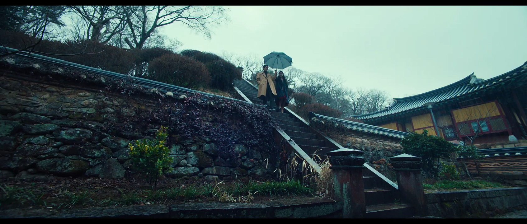 Die Frau im Nebel Park Film