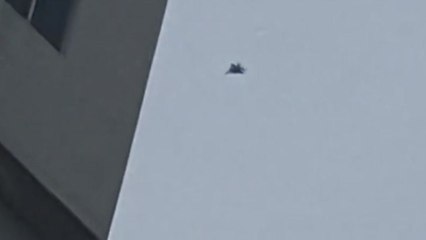 [뉴스라이브] 영공 뚫린 뒤 '새떼·풍선' 오인 출격...연이어 허탕 친 軍 / YTN