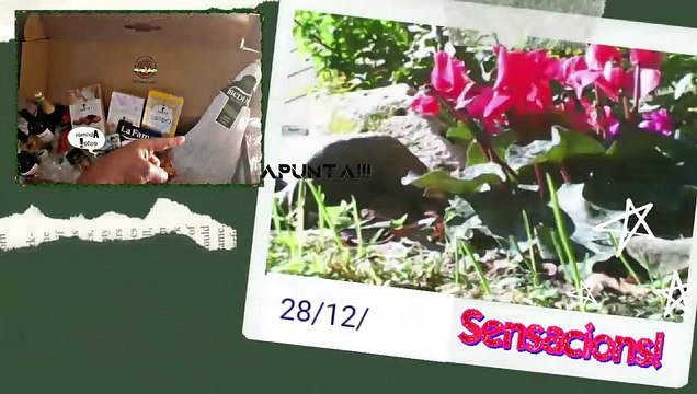 Ràdio Vila-sacra Superlider del Anem fent 1993 - 2023