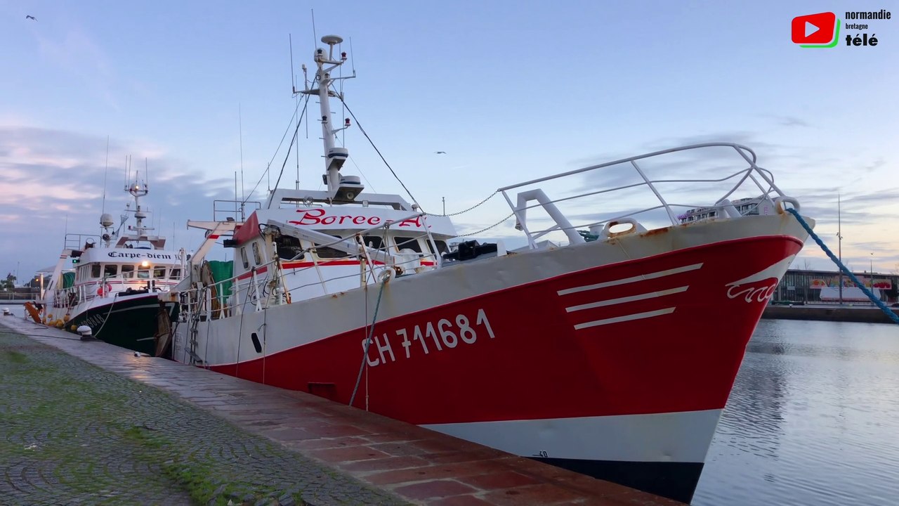 Cherbourg |  Le port normand a la pêche |  Normandie Bretagne Télé