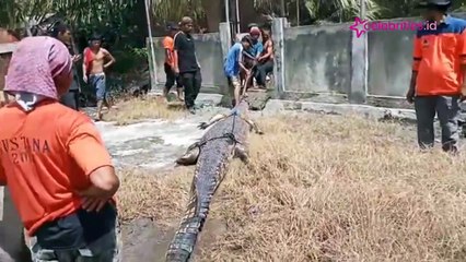 Mengerikan, Wanita Kesurupan Minta Buaya Pemangsa Manusia Dilepas