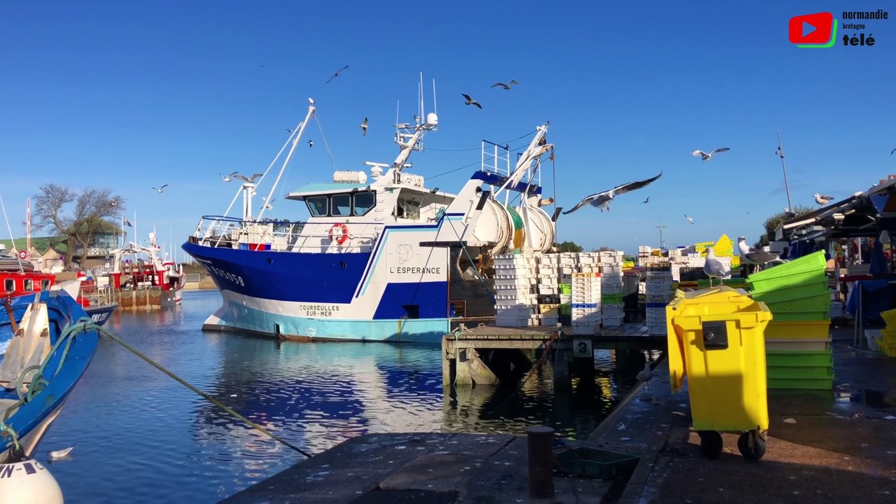 Courseulles-sur-mer  |  En mode Mouettes | Normandie Bretagne Télé