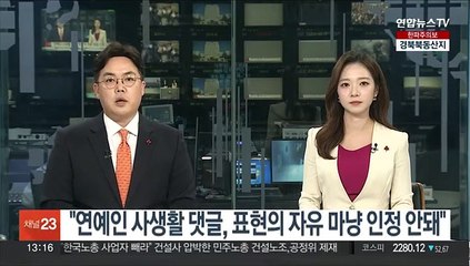 "연예인 사생활 댓글, 표현의 자유 마냥 인정 안돼"