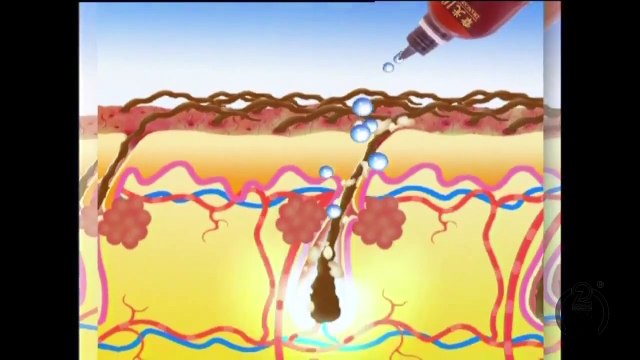 101 Hair Products - Exclusive to The Australian Hair and Scalp Clinic Melbourne