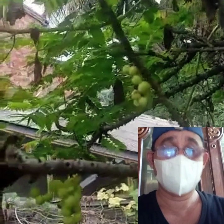 It's also difficult to find mirrors when it's not this season It's also difficult to find mirrors when it's not this season