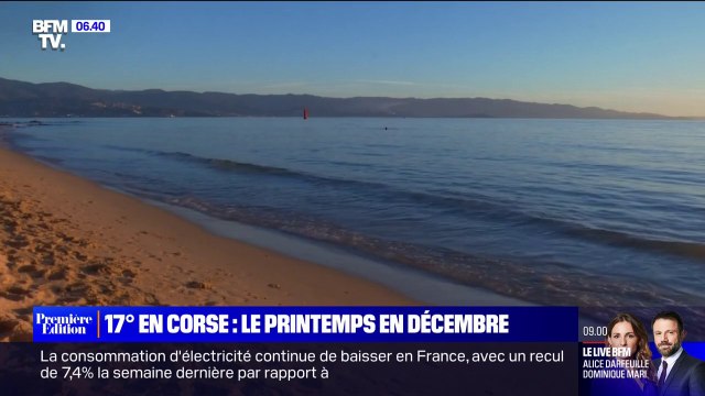En Corse, les vacanciers et professionnels du tourisme profitent de températures exceptionnellement douces pour la saison