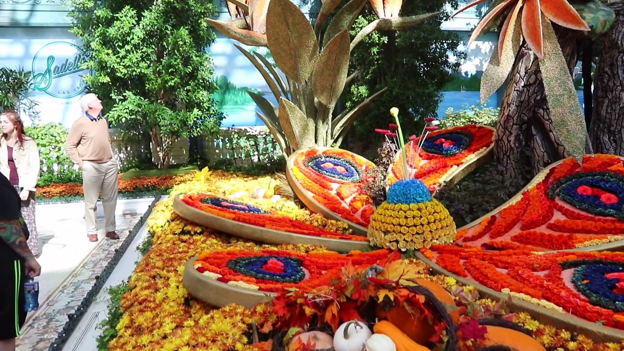 Awalk trough the Bellagio Conservatory & Botanical Gardens in Las Vegas on October 20, 2018.