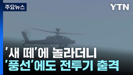 '새 떼'에 놀라더니 '풍선'에도 전투기 출격...내일 합동방공훈련 / YTN