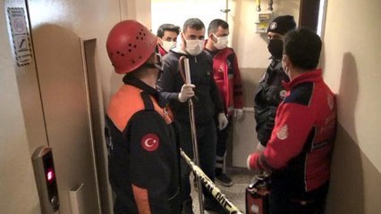 AVCILAR'DA 2 KÖPEK, EVDE ÖLÜ BULUNAN SAHİPLERİNİN YANINA POLİSİ YAKLAŞTIRMADI