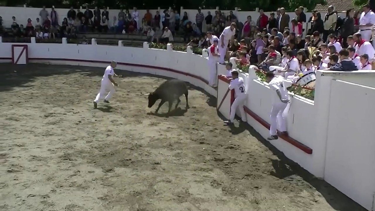 20.06.10 Estibeaux Concours de Cocardes 2e Partie