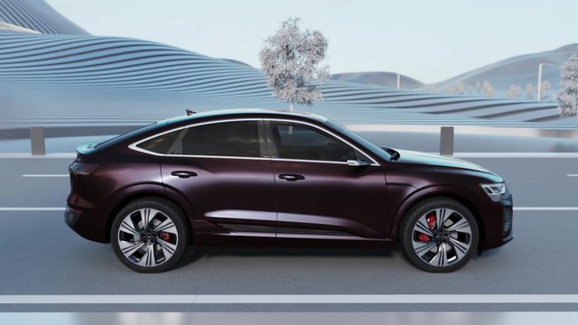 Audi Q8 Sportback e-tron - Elektrischer quattro